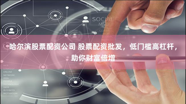 哈尔滨股票配资公司 股票配资批发，低门槛高杠杆，助你财富倍增