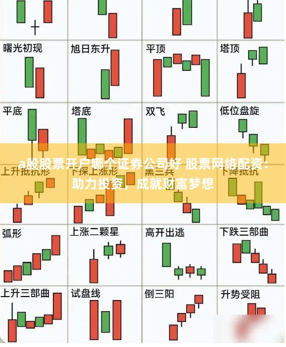 a股股票开户哪个证券公司好 股票网络配资:助力投资,成就财富梦想